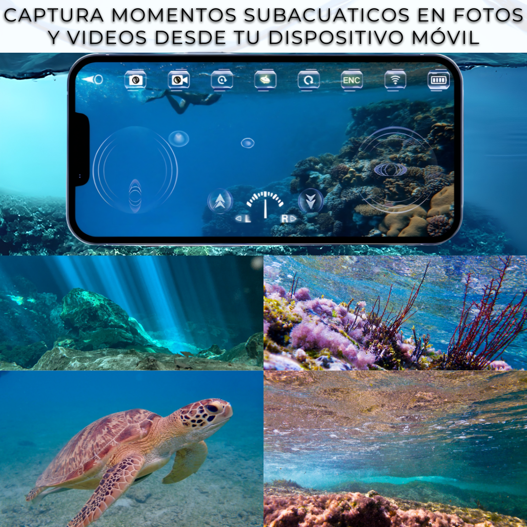 Manta Raya de Exploración HD