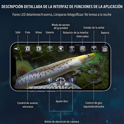 Manta Raya de Exploración HD